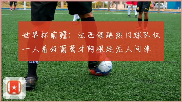 世界杯前瞻：法西领跑热门球队仅一人看好葡萄牙阿根廷无人问津