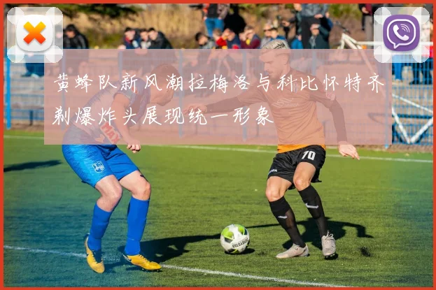 黄蜂队新风潮拉梅洛与科比怀特齐剃爆炸头展现统一形象